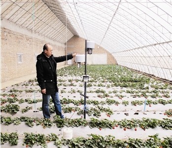 天津推广物联网 坐在电脑前轻松“种菜”